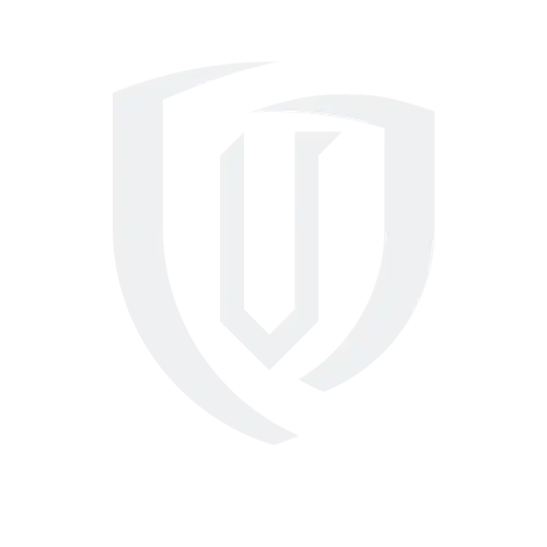 Vordr Icon frost color